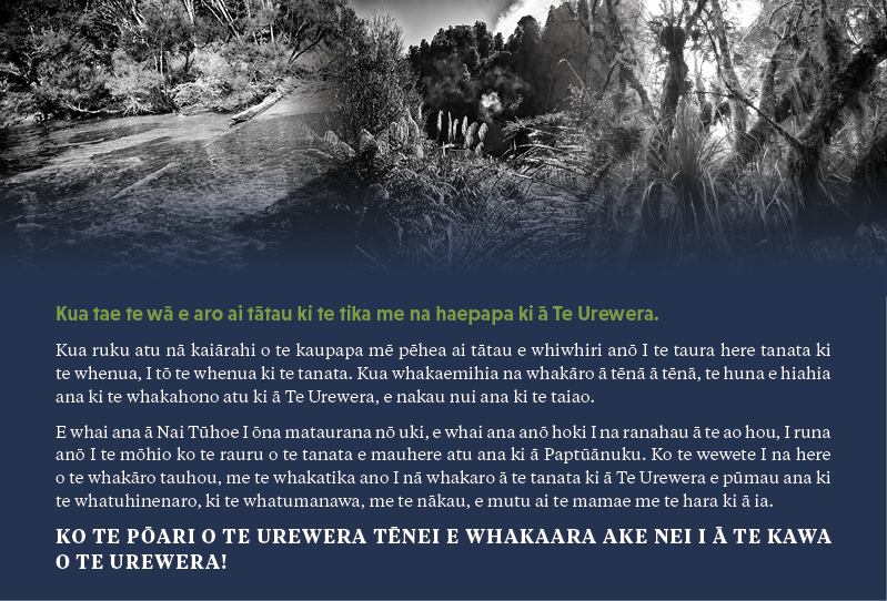 Te Kawa www Banner Maori